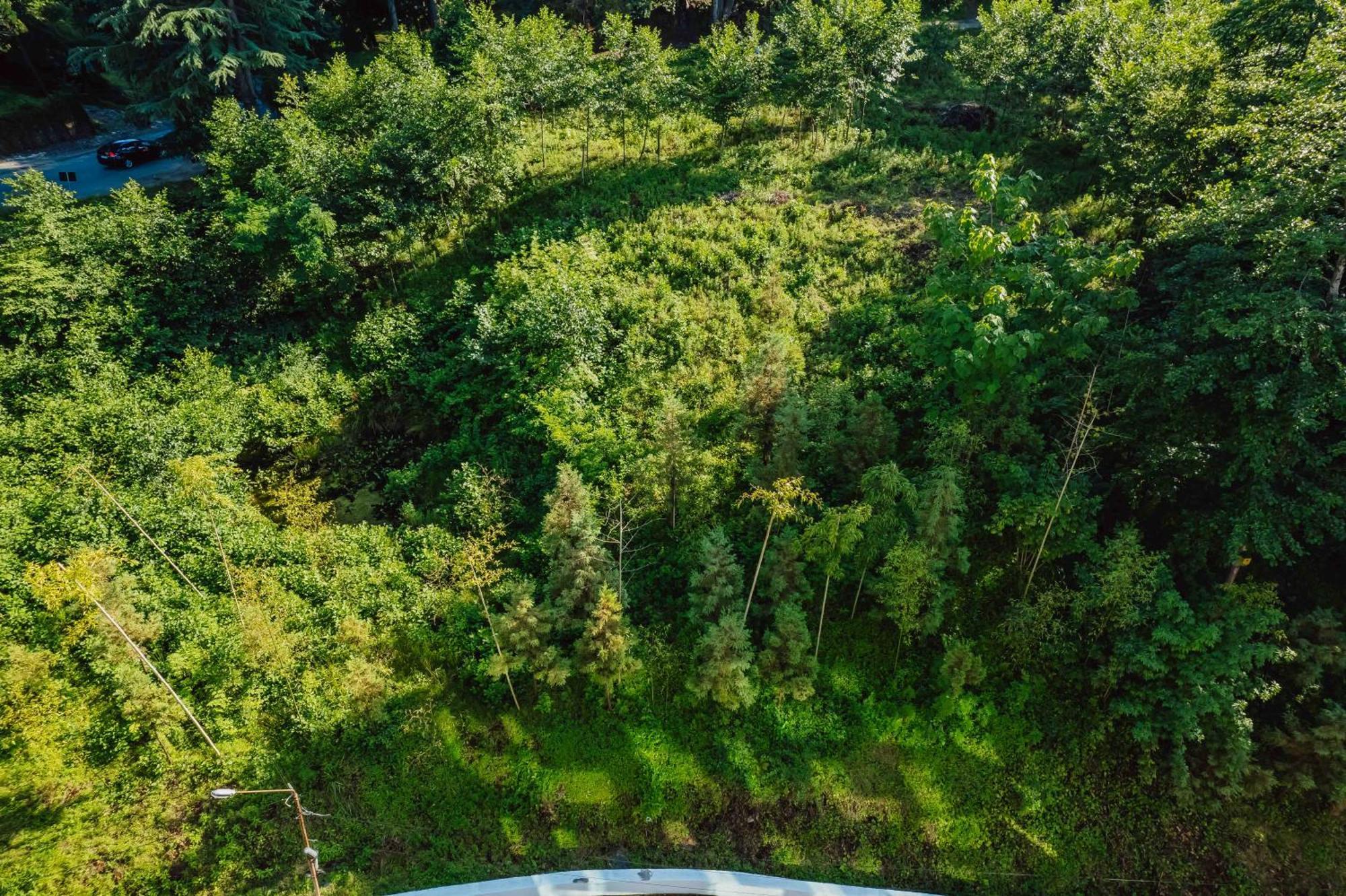 Capo Verde Hotel باتومي المظهر الخارجي الصورة